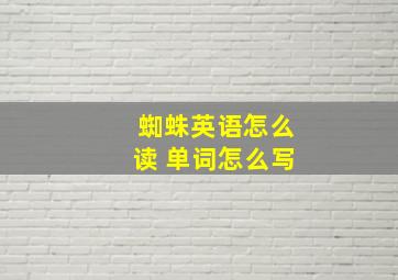 蜘蛛英语怎么读 单词怎么写